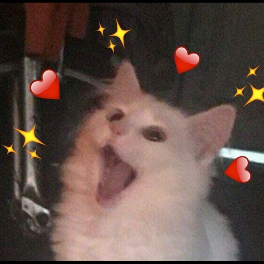 Meet your Posher, Paradise